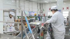 <b>绥化望奎：建牢食物平安线 全力保障春节市场供</b>
